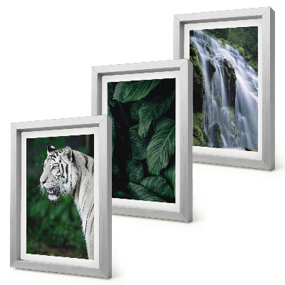 Set 3 tablouri Frunze de tigru alb și cascadă în cadru natural