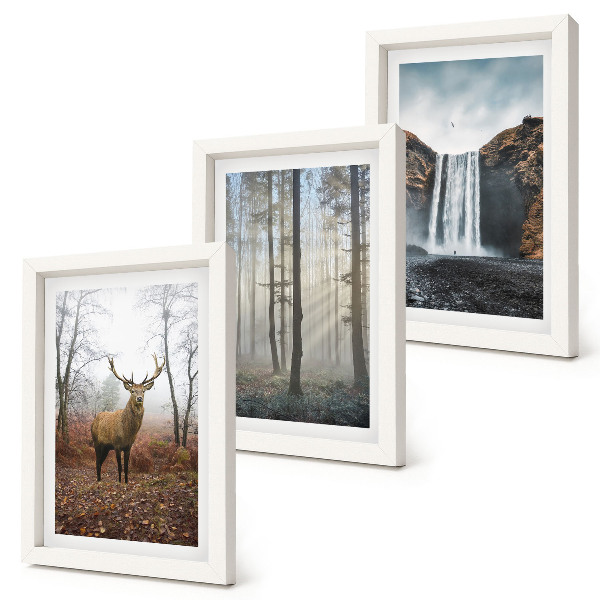 Set 3 tablouri Peisaje forestiere natură sălbatică cerb