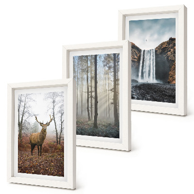 Set 3 tablouri Peisaje forestiere natură sălbatică cerb