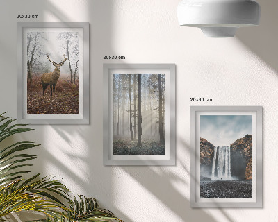 Set 3 tablouri Peisaje forestiere natură sălbatică cerb