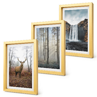 Set 3 tablouri Peisaje forestiere natură sălbatică cerb