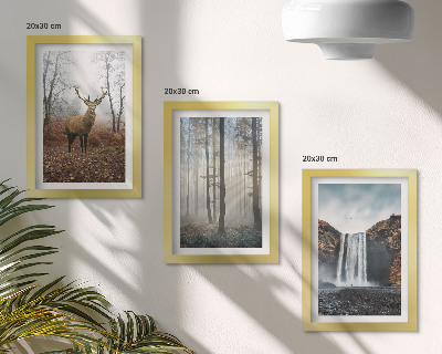 Set 3 tablouri Peisaje forestiere natură sălbatică cerb