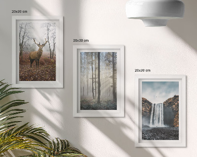 Set 3 tablouri Peisaje forestiere natură sălbatică cerb
