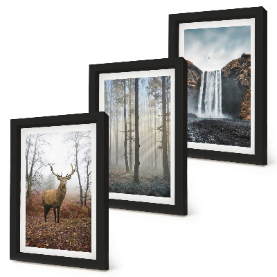 Set 3 tablouri Peisaje forestiere natură sălbatică cerb