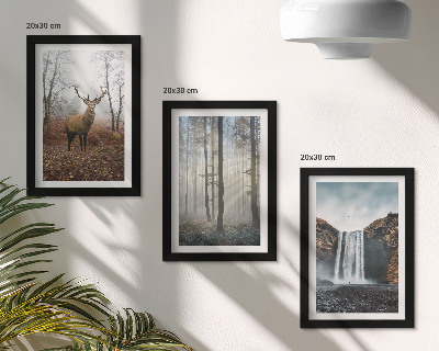 Set 3 tablouri Peisaje forestiere natură sălbatică cerb