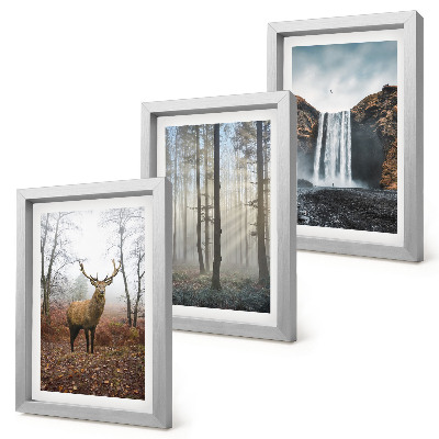 Set 3 tablouri Peisaje forestiere natură sălbatică cerb