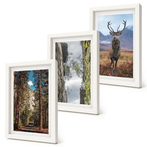 Galerie de perete Drum în pădure, munți și cerbi în natură