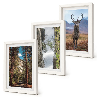 Galerie de perete Drum în pădure, munți și cerbi în natură