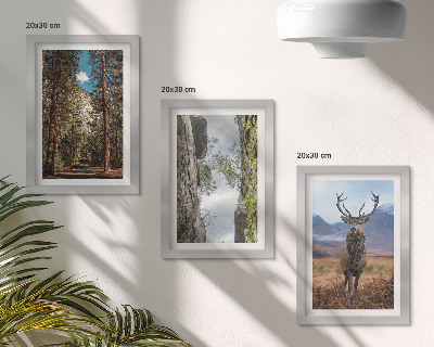 Galerie de perete Drum în pădure, munți și cerbi în natură
