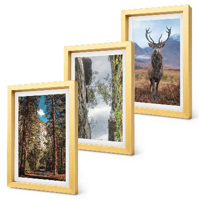 Galerie de perete Drum în pădure, munți și cerbi în natură