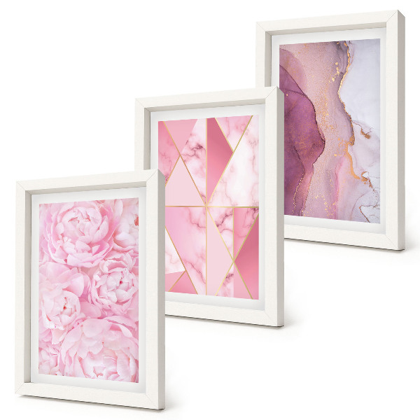 Set 3 tablouri Flori roz bujori modele geometrice