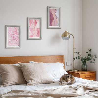 Set 3 tablouri Flori roz bujori modele geometrice