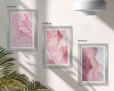 Set 3 tablouri Flori roz bujori modele geometrice