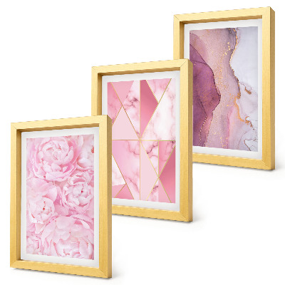 Set 3 tablouri Flori roz bujori modele geometrice