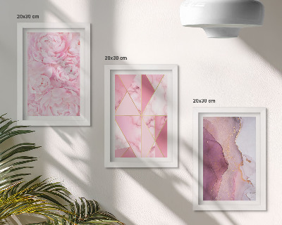 Set 3 tablouri Flori roz bujori modele geometrice