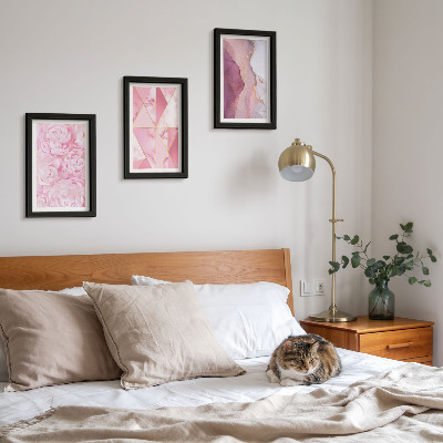 Set 3 tablouri Flori roz bujori modele geometrice