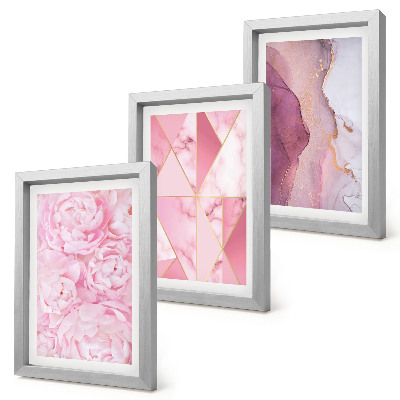 Set 3 tablouri Flori roz bujori modele geometrice