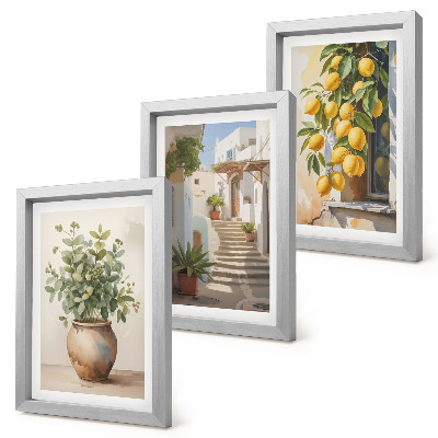Set 3 tablouri Plante în ghiveci și lămâi pe fundalul unei străzi