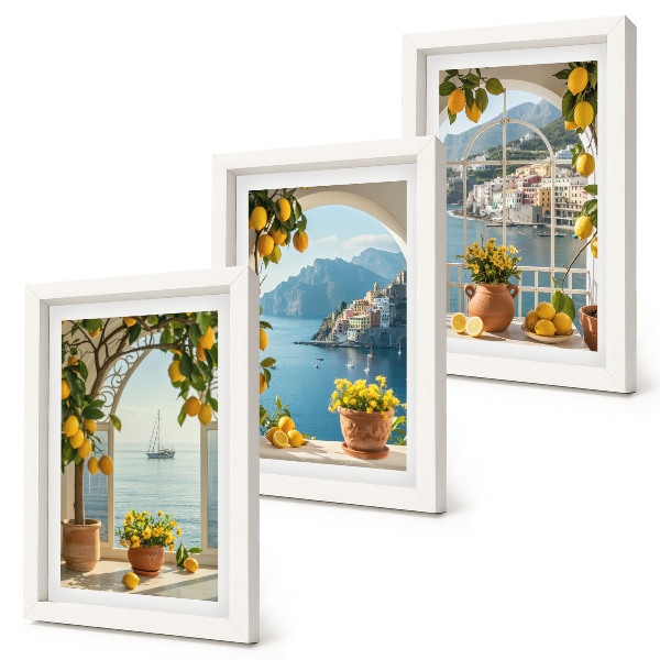 Set 3 tablouri Lămâi și flori în ghivece în orașul de coastă