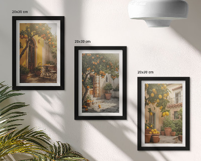 Galerie de perete Terasă însorită cu citrice și ghivece