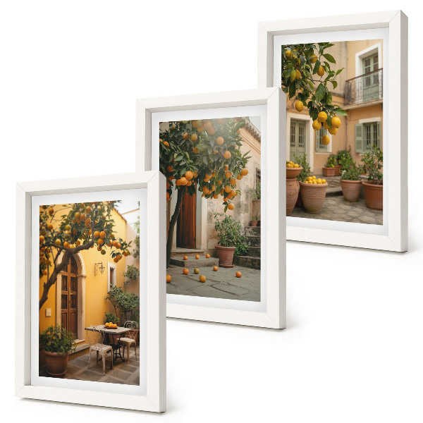 Set 3 tablouri O grădină cu citrice într-un cadru însorit