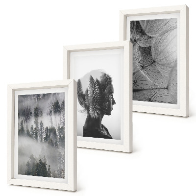 Set 3 tablouri Portret de pădure în ceață cu păpădii delicate
