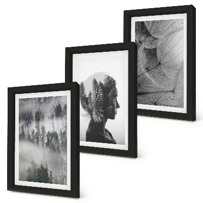 Set 3 tablouri Portret de pădure în ceață cu păpădii delicate