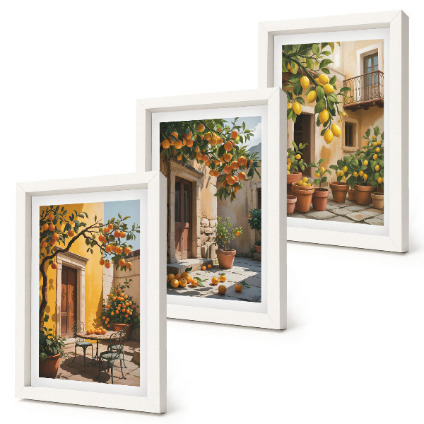 Galerie de perete Citrice într-o curte însorită cu plante