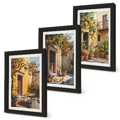 Galerie de perete Citrice într-o curte însorită cu plante
