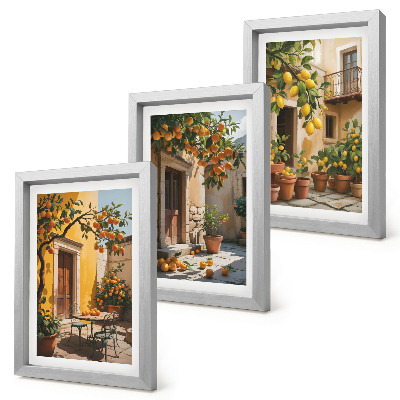Galerie de perete Citrice într-o curte însorită cu plante