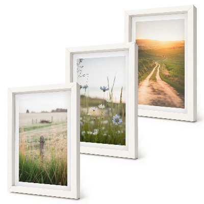 Set 3 tablouri Peisaje naturale cu câmpuri și o potecă la soare