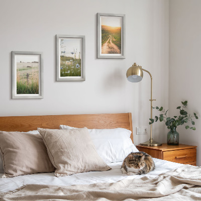 Set 3 tablouri Peisaje naturale cu câmpuri și o potecă la soare