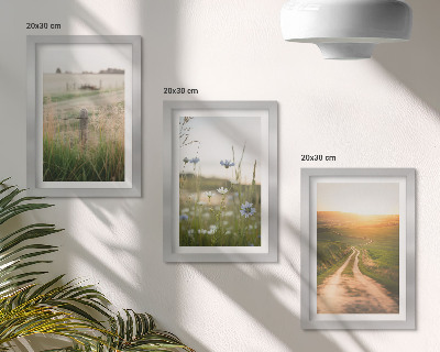 Set 3 tablouri Peisaje naturale cu câmpuri și o potecă la soare