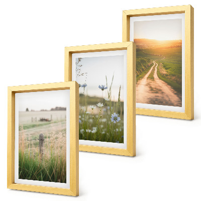 Set 3 tablouri Peisaje naturale cu câmpuri și o potecă la soare