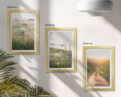 Set 3 tablouri Peisaje naturale cu câmpuri și o potecă la soare