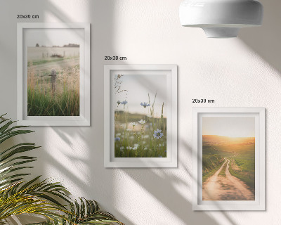 Set 3 tablouri Peisaje naturale cu câmpuri și o potecă la soare