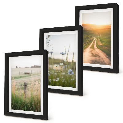 Set 3 tablouri Peisaje naturale cu câmpuri și o potecă la soare