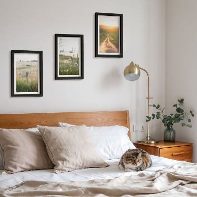 Set 3 tablouri Peisaje naturale cu câmpuri și o potecă la soare