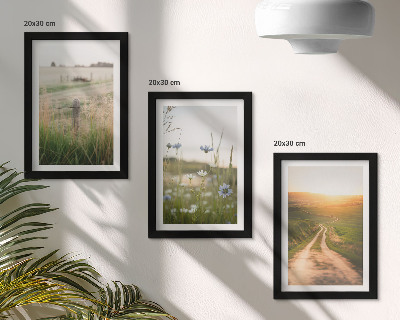Set 3 tablouri Peisaje naturale cu câmpuri și o potecă la soare
