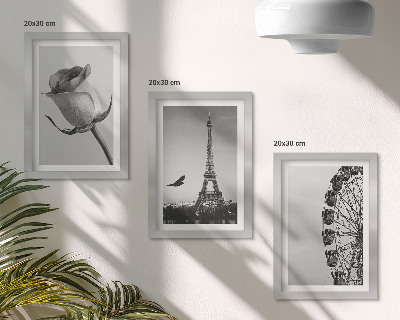 Galerie de perete Turnul Eiffel Rose și Roata Ferris în monocrom