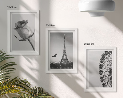 Galerie de perete Turnul Eiffel Rose și Roata Ferris în monocrom