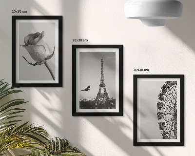Galerie de perete Turnul Eiffel Rose și Roata Ferris în monocrom