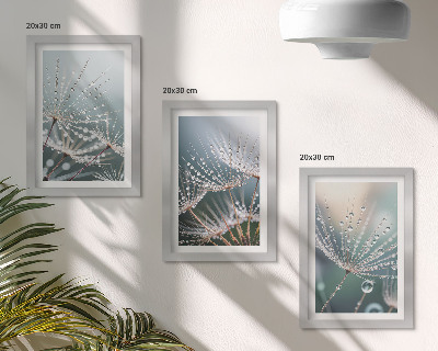 Galerie de perete Picături de apă pe lăstarii delicati ai păpădiilor