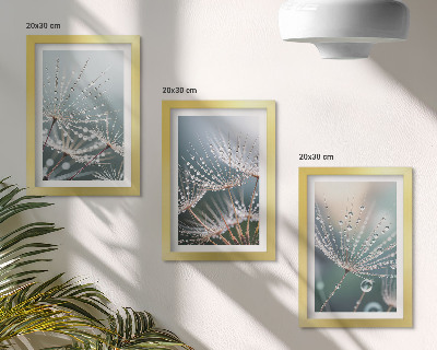 Galerie de perete Picături de apă pe lăstarii delicati ai păpădiilor