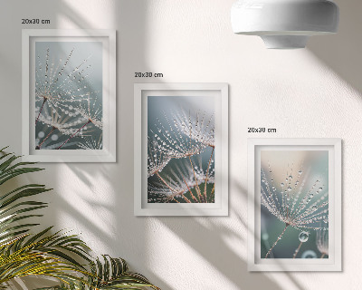 Galerie de perete Picături de apă pe lăstarii delicati ai păpădiilor