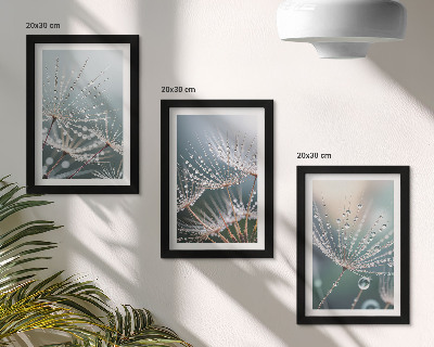 Galerie de perete Picături de apă pe lăstarii delicati ai păpădiilor
