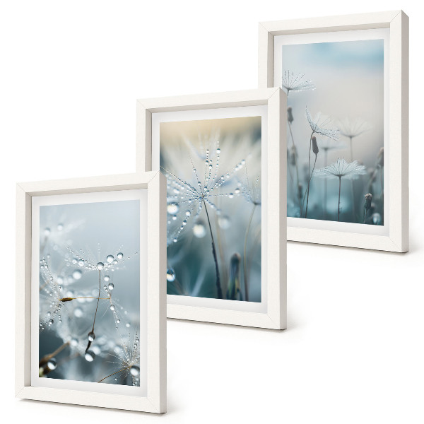 Set 3 tablouri Picături de rouă pe păpădii delicate