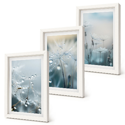 Set 3 tablouri Picături de rouă pe păpădii delicate