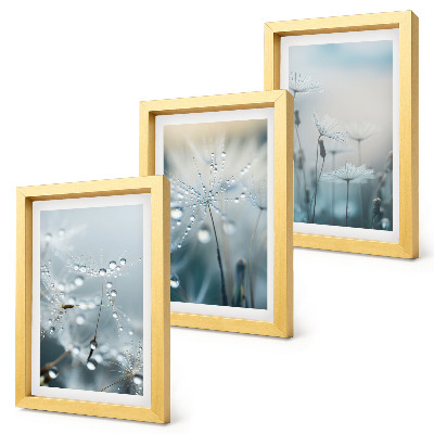 Set 3 tablouri Picături de rouă pe păpădii delicate
