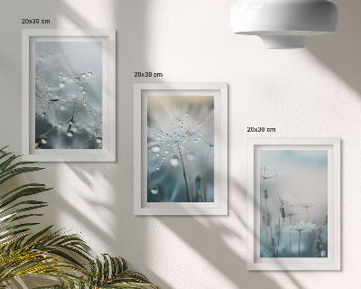 Set 3 tablouri Picături de rouă pe păpădii delicate